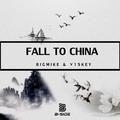 Fall To China (Original Mix)