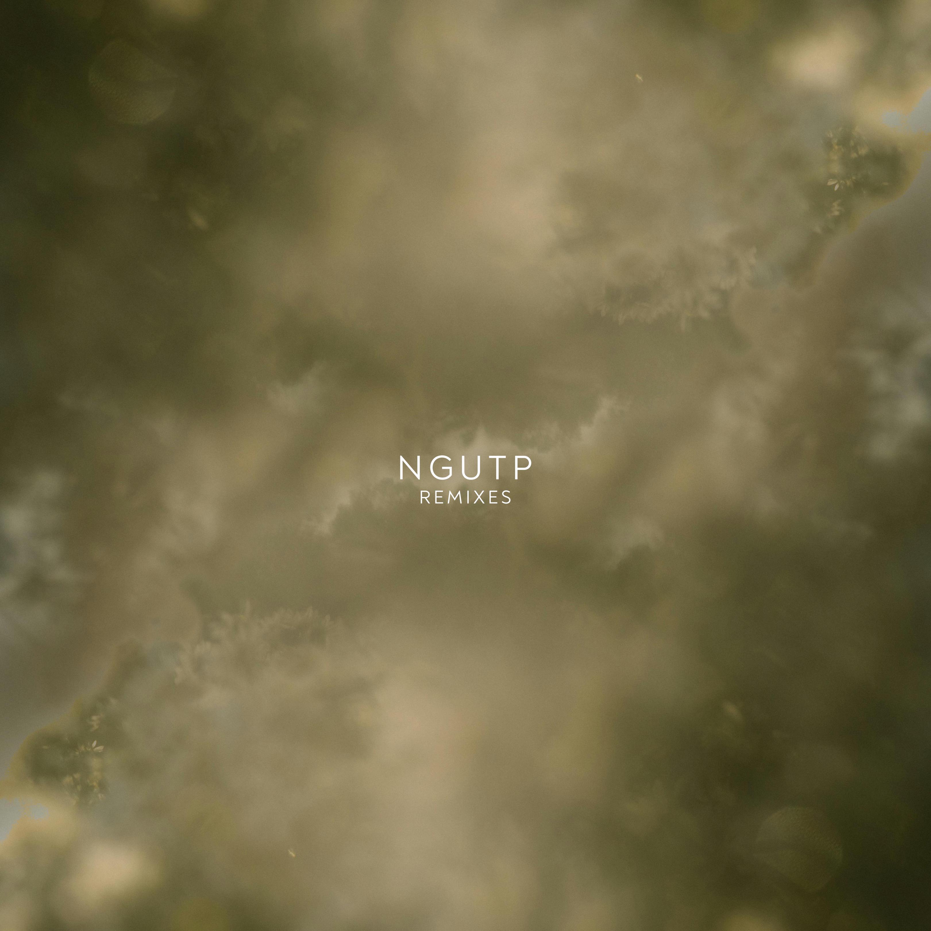 NGUTP REMIXES