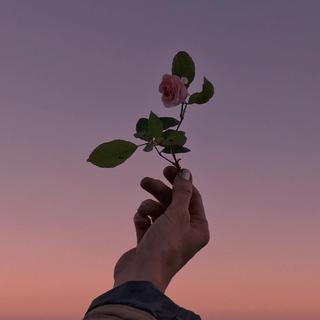欧美 | 踱步远山中，藏身繁星间。