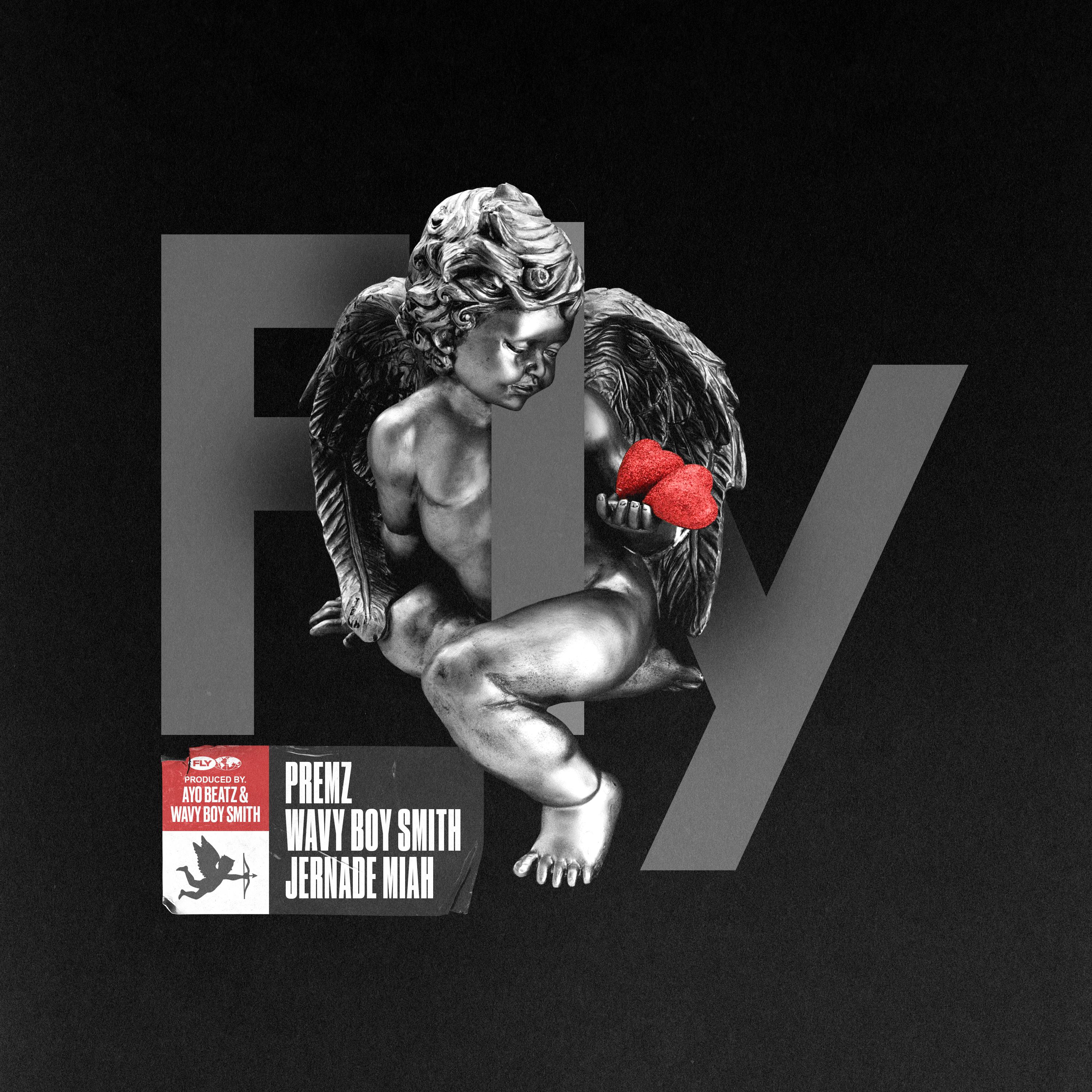 Fly